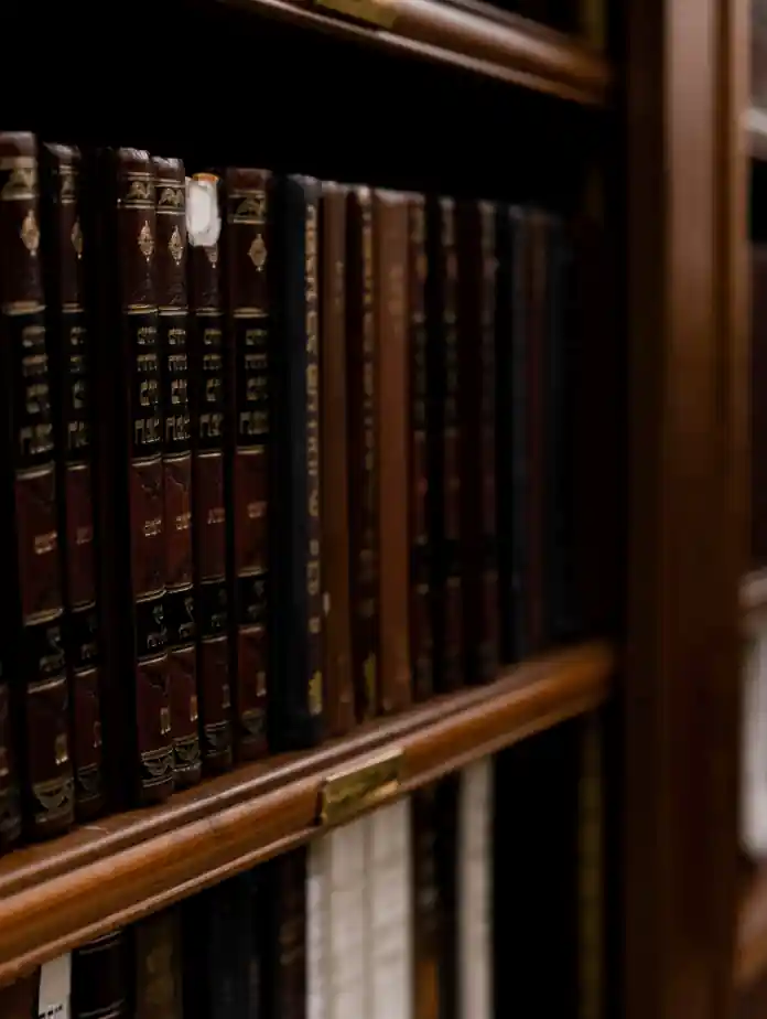 Books are lying on the bookshelves